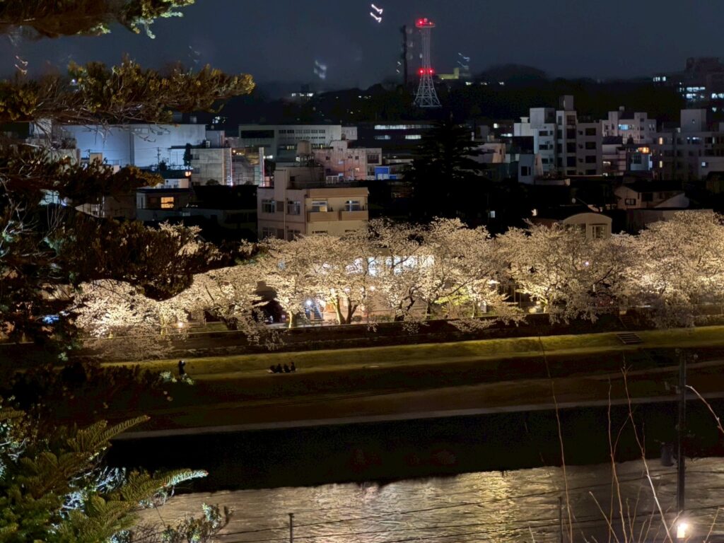 令和7年4月7日　観桜会