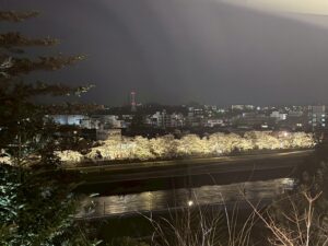 令和7年4月7日　観桜会